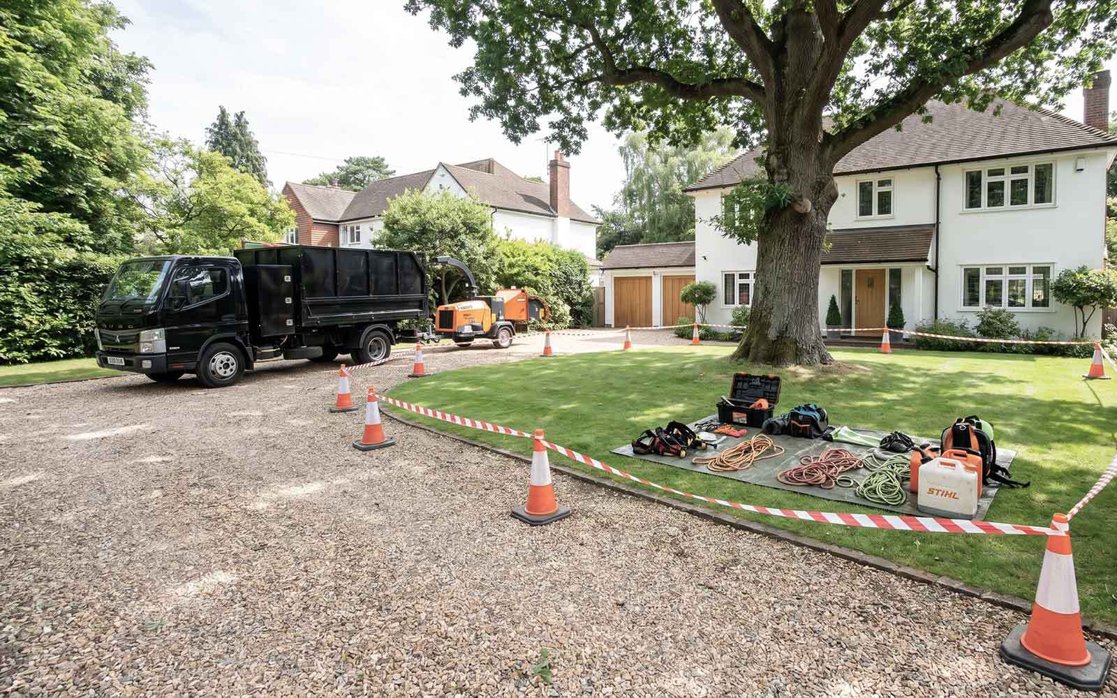 Four Oaks Tree Surgery Work