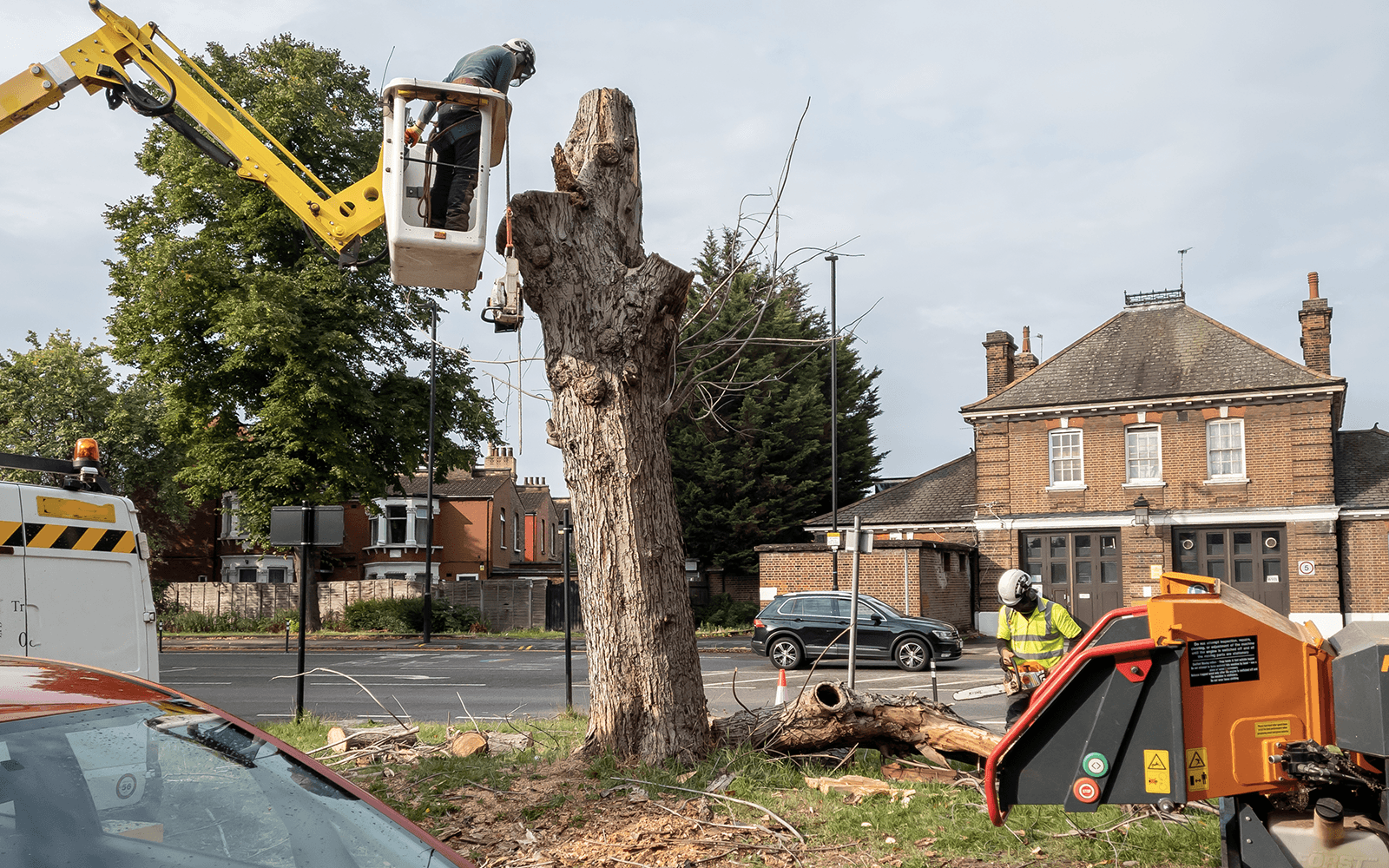 Four Oaks Tree Surgery Work